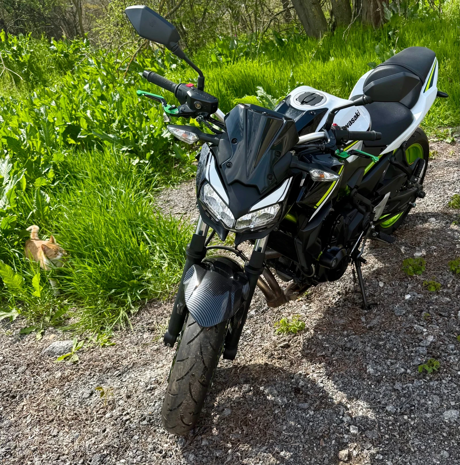 Kawasaki Z, снимка 4 - Мотоциклети и мототехника - 54180300