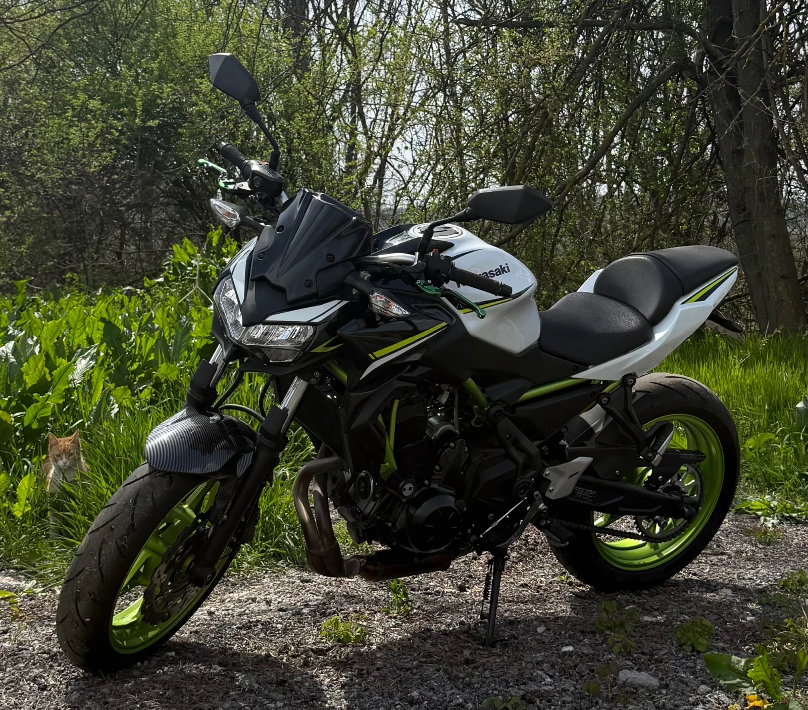 Kawasaki Z
