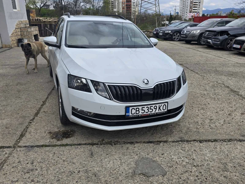 Skoda Octavia швейцария, снимка 10 - Автомобили и джипове - 52797490