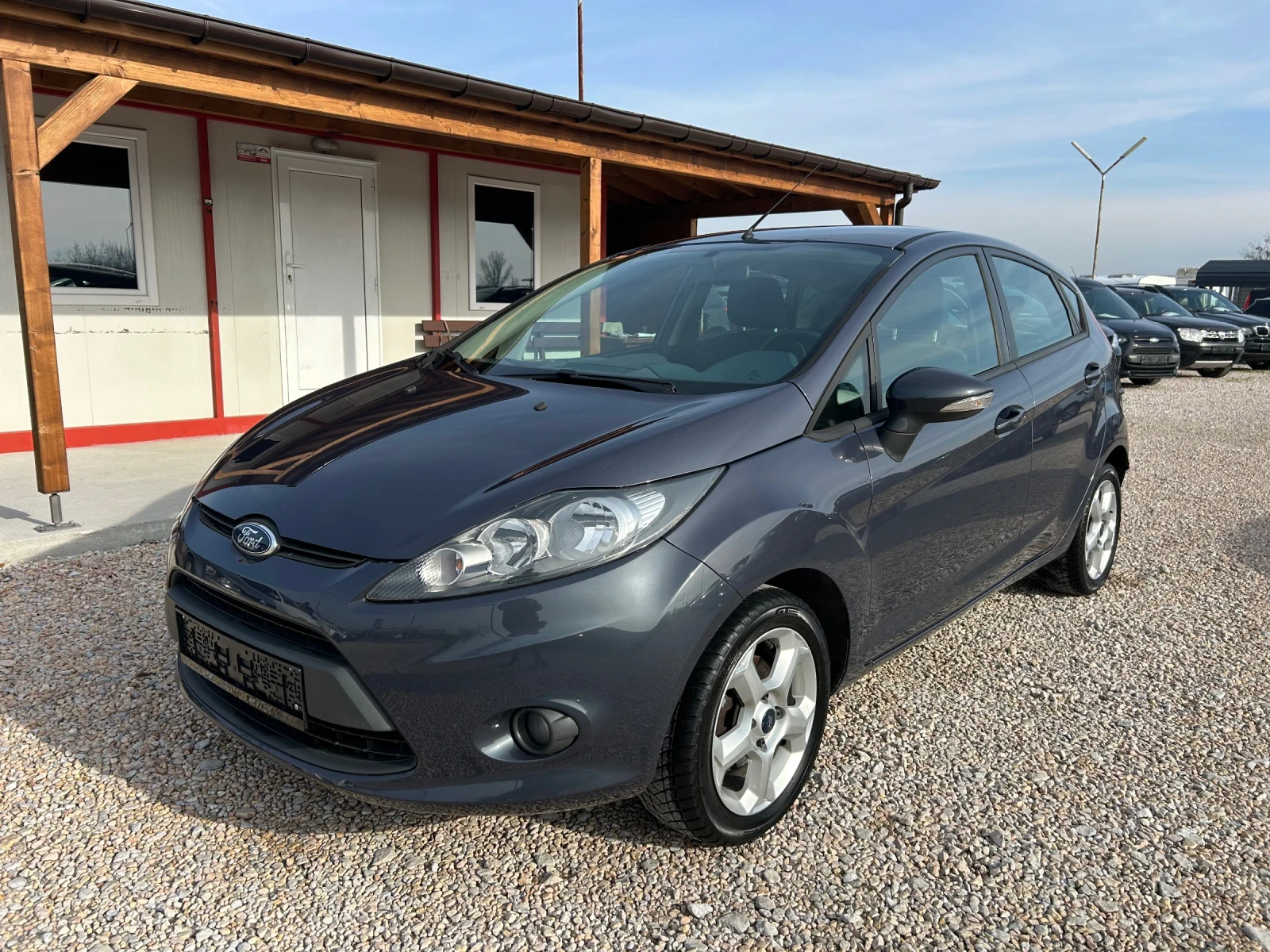 Ford Fiesta * 1.6d* 95к.с* , снимка 1