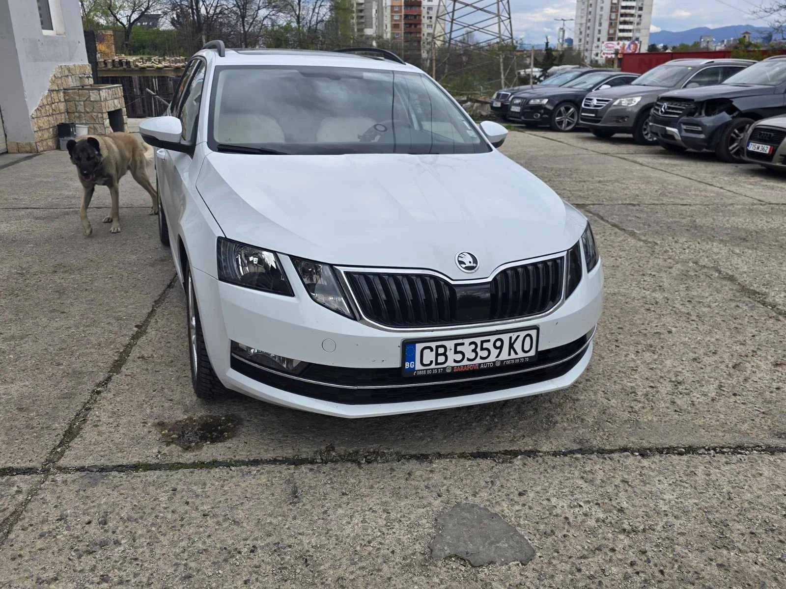Skoda Octavia швейцария - изображение 10