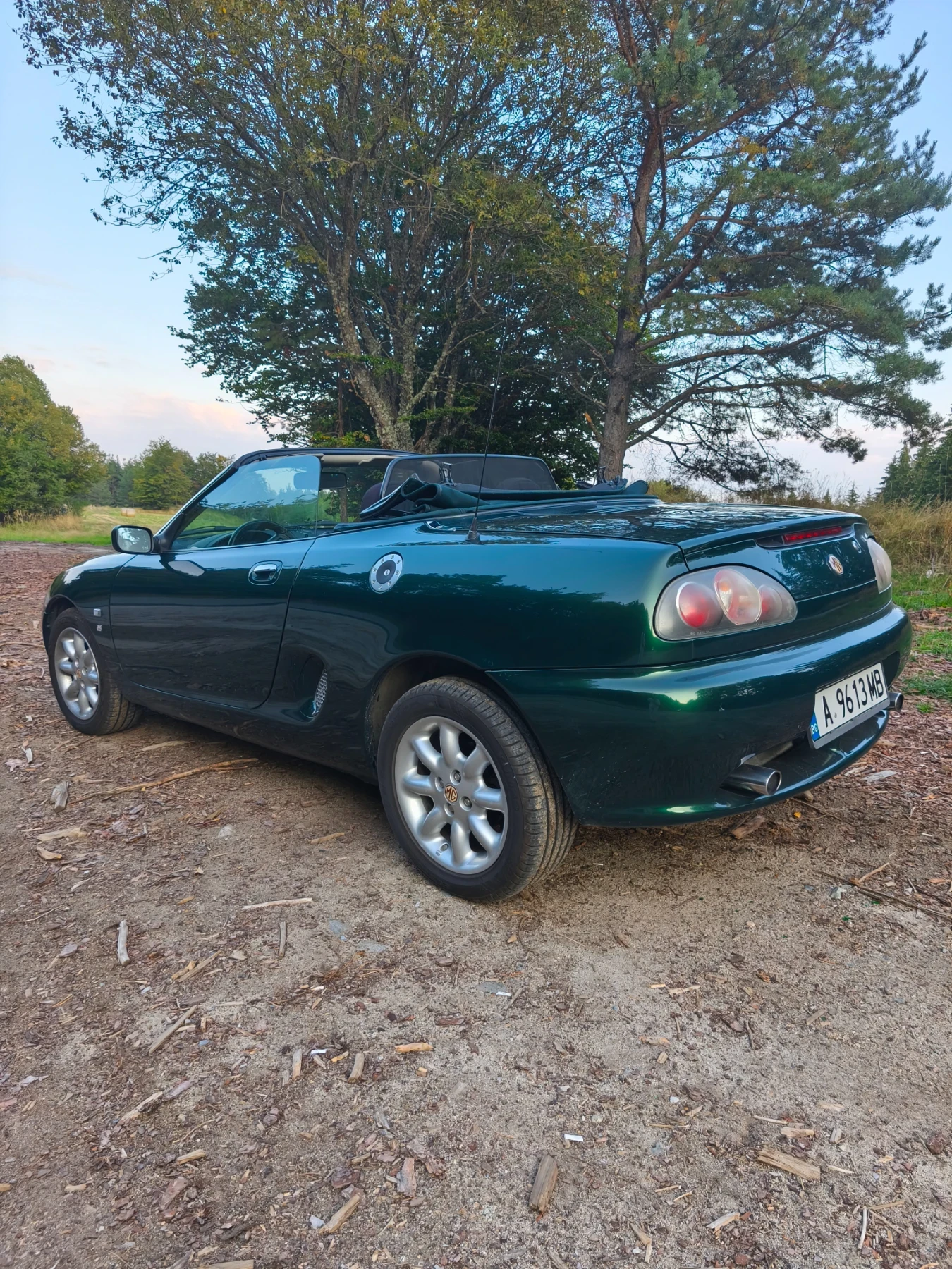 Mg Mgf  - изображение 2