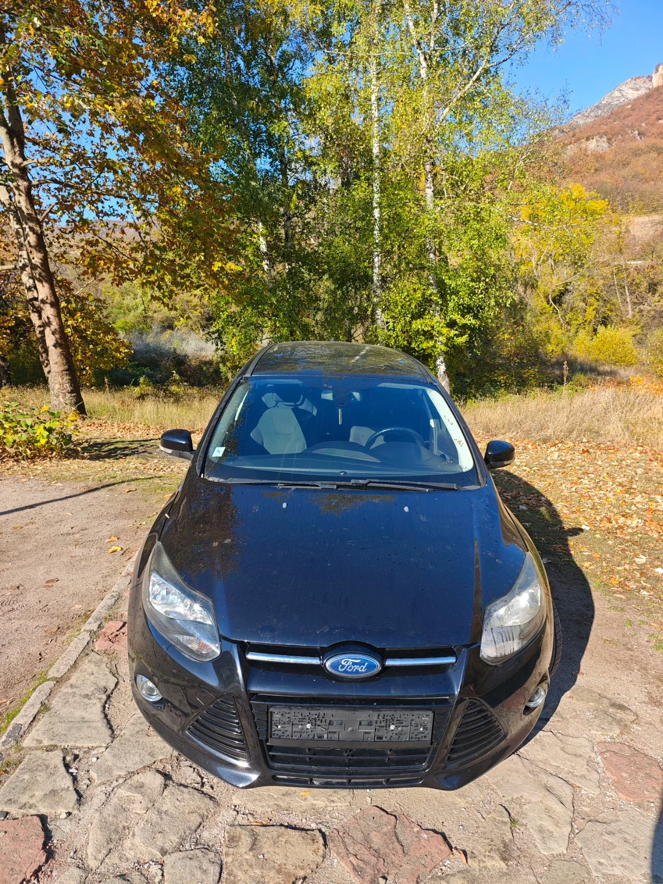 Ford Focus 1.6TDCI 95�� | Mobile.bg � ����������� 3