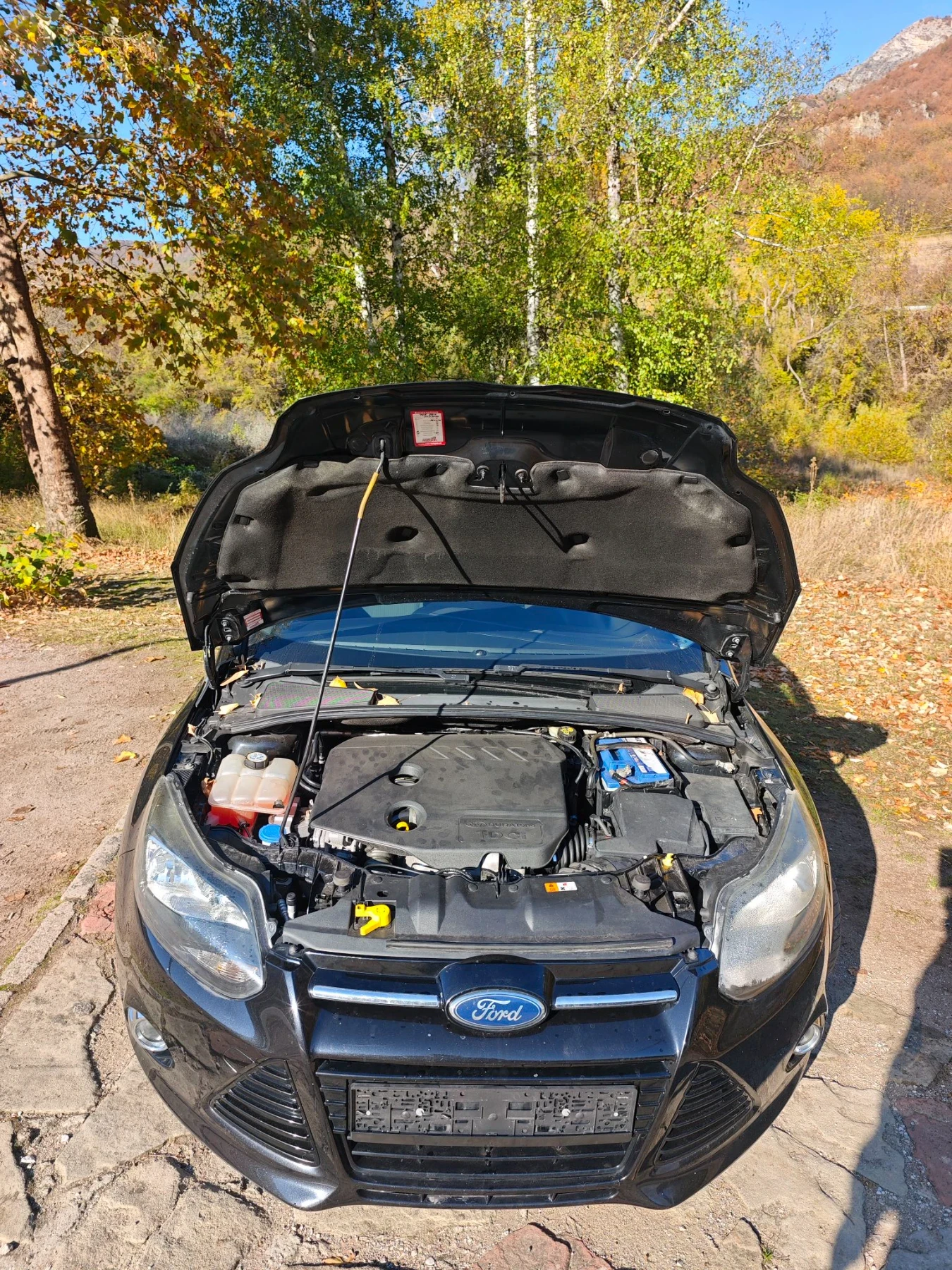 Ford Focus 1.6TDCI 95�� | Mobile.bg � ����������� 4