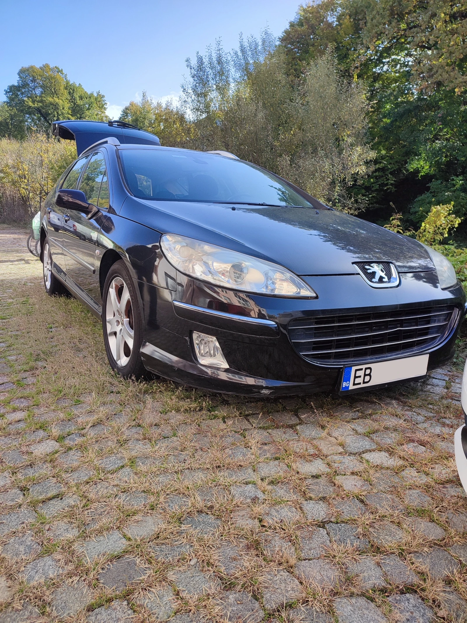 Peugeot 407 2.0 HDI | Mobile.bg   1