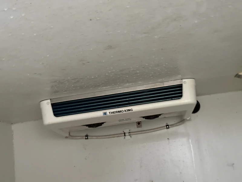 Mercedes-Benz Sprinter 319, снимка 7 - Бусове и автобуси - 53563141