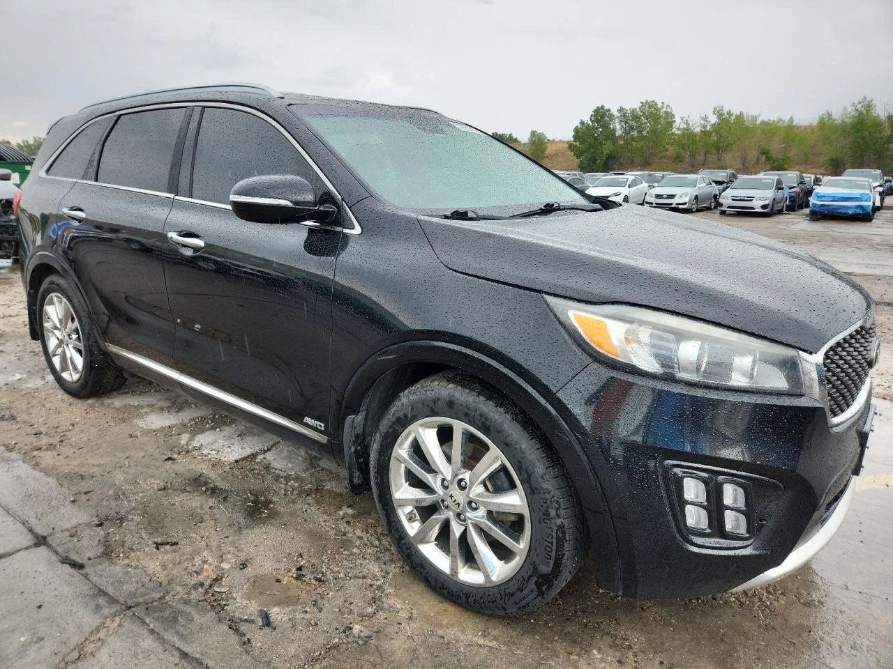 Kia Sorento SX - изображение 5