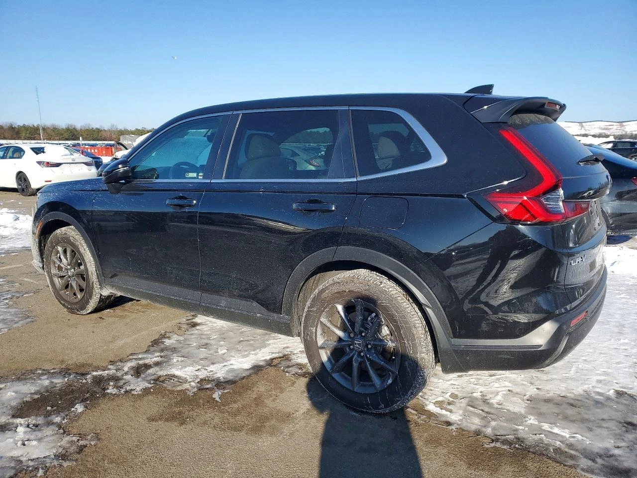 Honda Cr-v * EXL* КОЖА* ПОДГРЕВ* LED* NAVI* , снимка 3 - Автомобили и джипове - 53828464