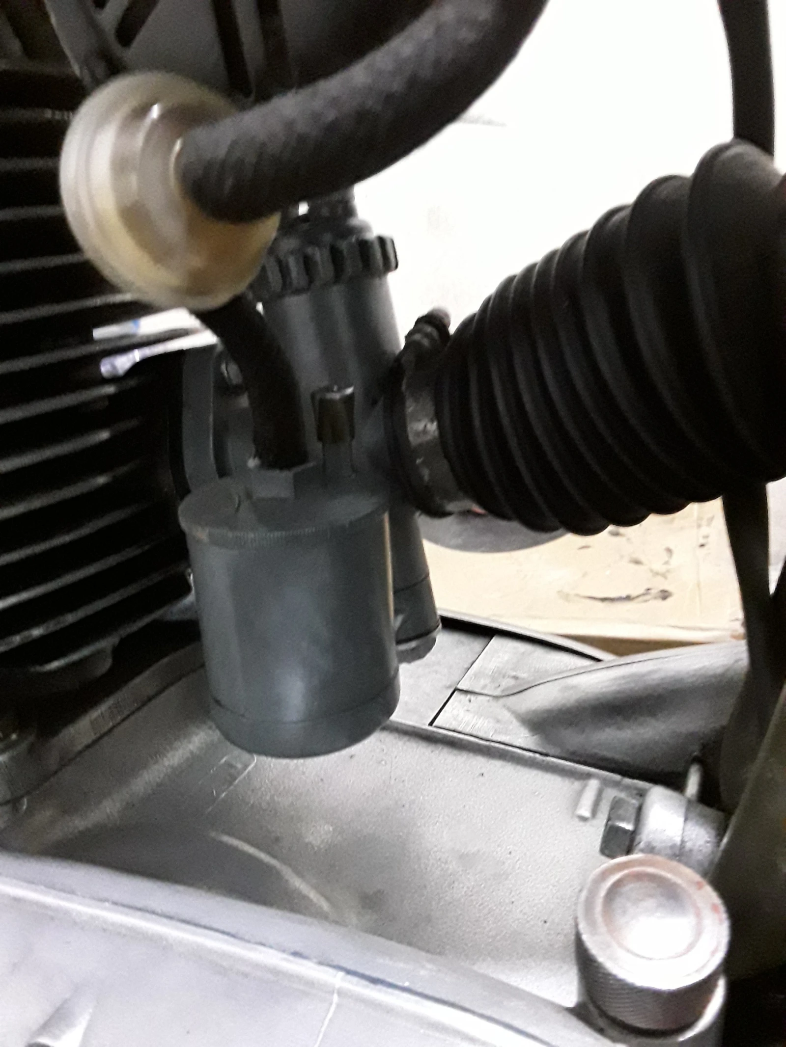 Triumph T BDG250 | Mobile.bg � ����������� 12