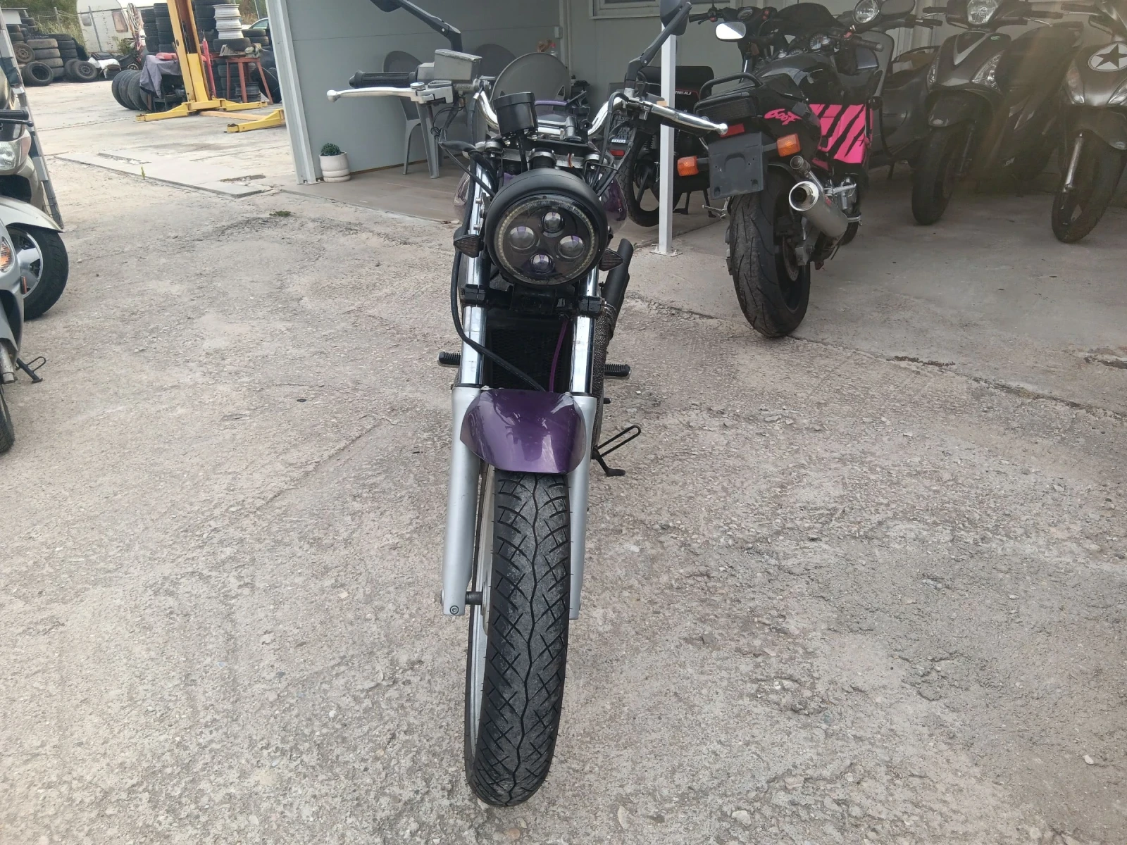 Suzuki VX 800 �� ���������  | Mobile.bg � ����������� 1