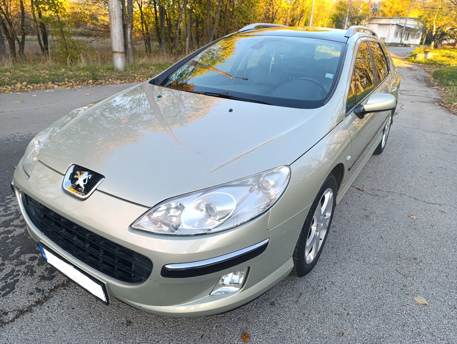 Peugeot 407 2.2, снимка 1
