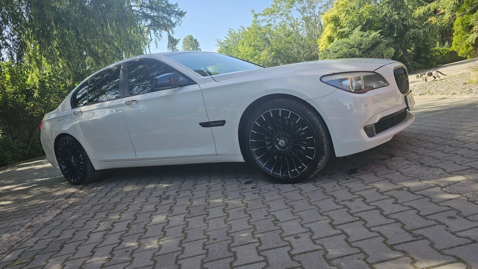 BMW 740 3.0i bi-turbo 2012 face - изображение 4