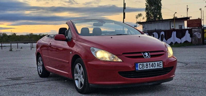 Peugeot 307 2.0 CC, снимка 6 - Автомобили и джипове - 51123021