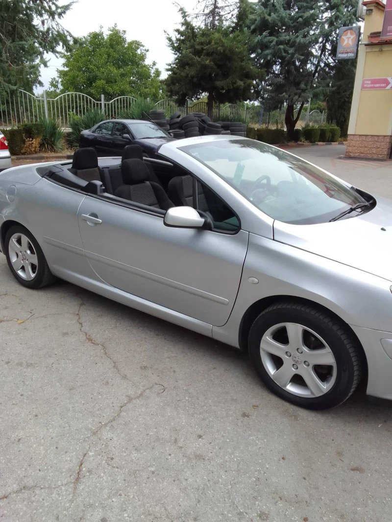 Peugeot 307 СС Кабрио , снимка 10 - Автомобили и джипове - 51871588