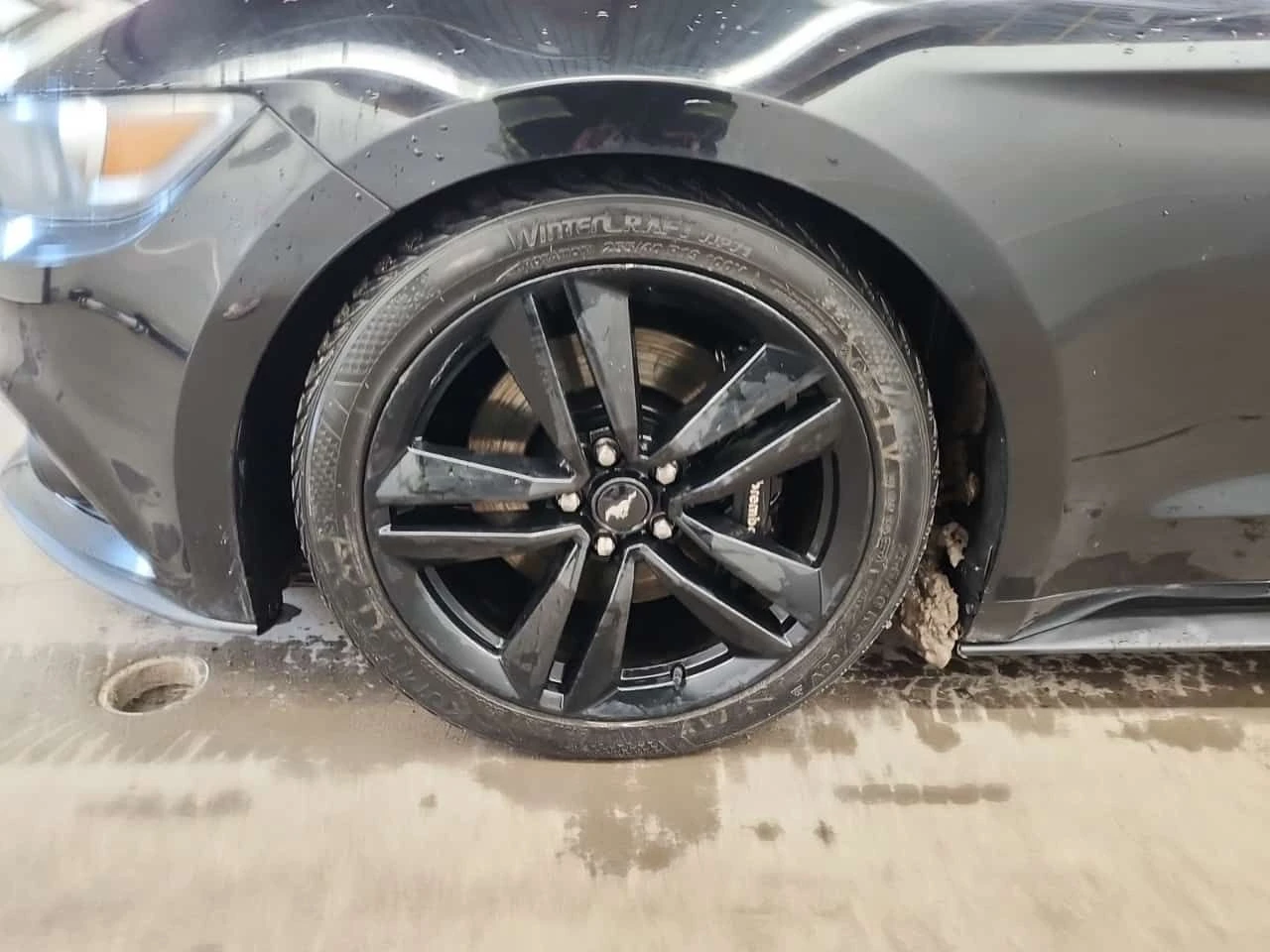 Ford Mustang * ECOBOOST PREMIUM * CARFAX * ПОДГРЕВИ * ОБДУХВАНЕ, снимка 6 - Автомобили и джипове - 53949074