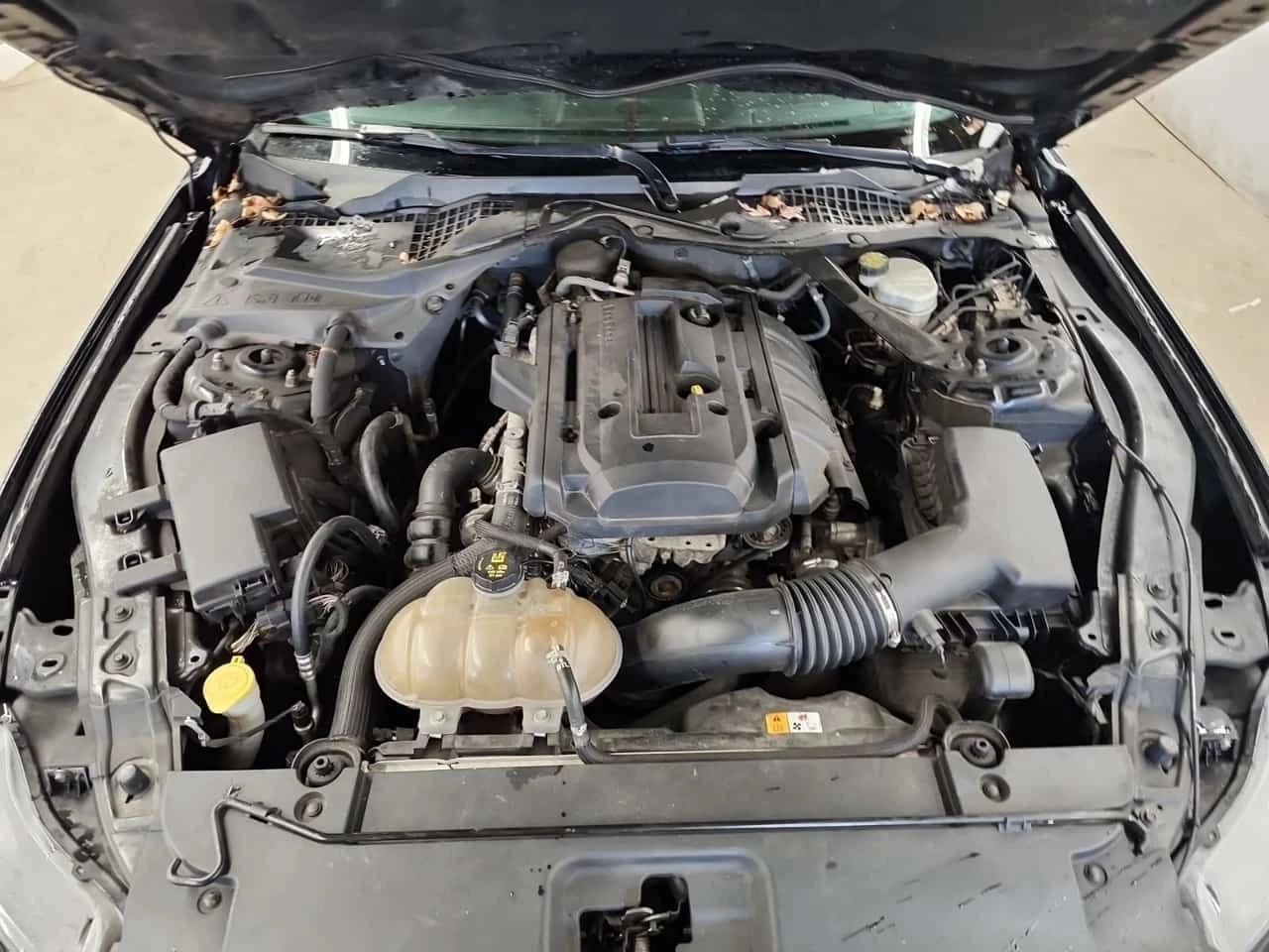 Ford Mustang * ECOBOOST PREMIUM * CARFAX * ПОДГРЕВИ * ОБДУХВАНЕ, снимка 17 - Автомобили и джипове - 53949074