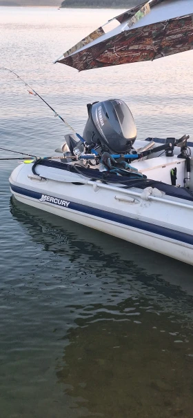   Mercury Mercury  | Mobile.bg    9