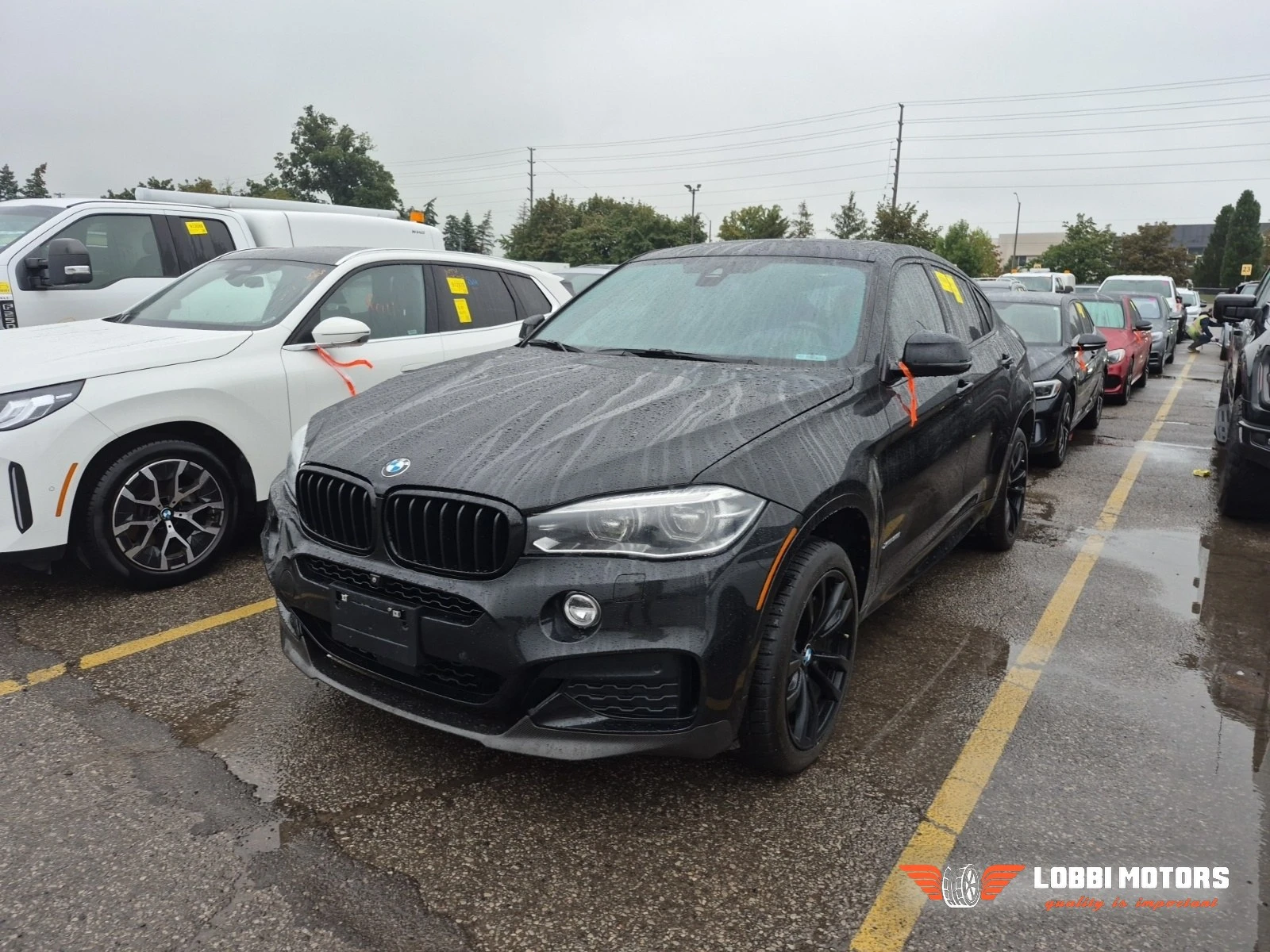 BMW X6 | Mobile.bg � ����������� 1
