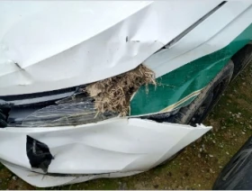 Skoda Fabia 1.0TSI 99900KM, снимка 6