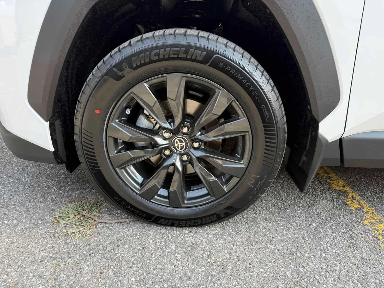 Toyota Rav4 XLE AWD /CARFAX/КАМЕРА/ПОДГРЕВИ, снимка 7 - Автомобили и джипове - 54706564