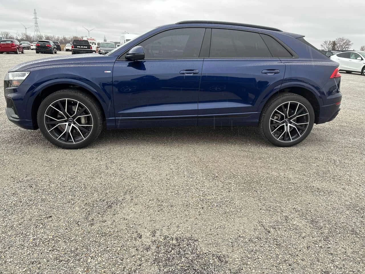 Audi Q8 Progressiv  CARFAX, снимка 2 - Автомобили и джипове - 54097411