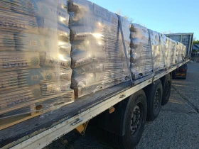 ����������� Koegel | Mobile.bg � ����� ������ 6