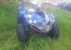 Bashan BS 200 куб , снимка 1