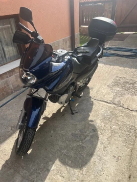 Suzuki XF Freewind 650 | Auto.bg — изображение 3