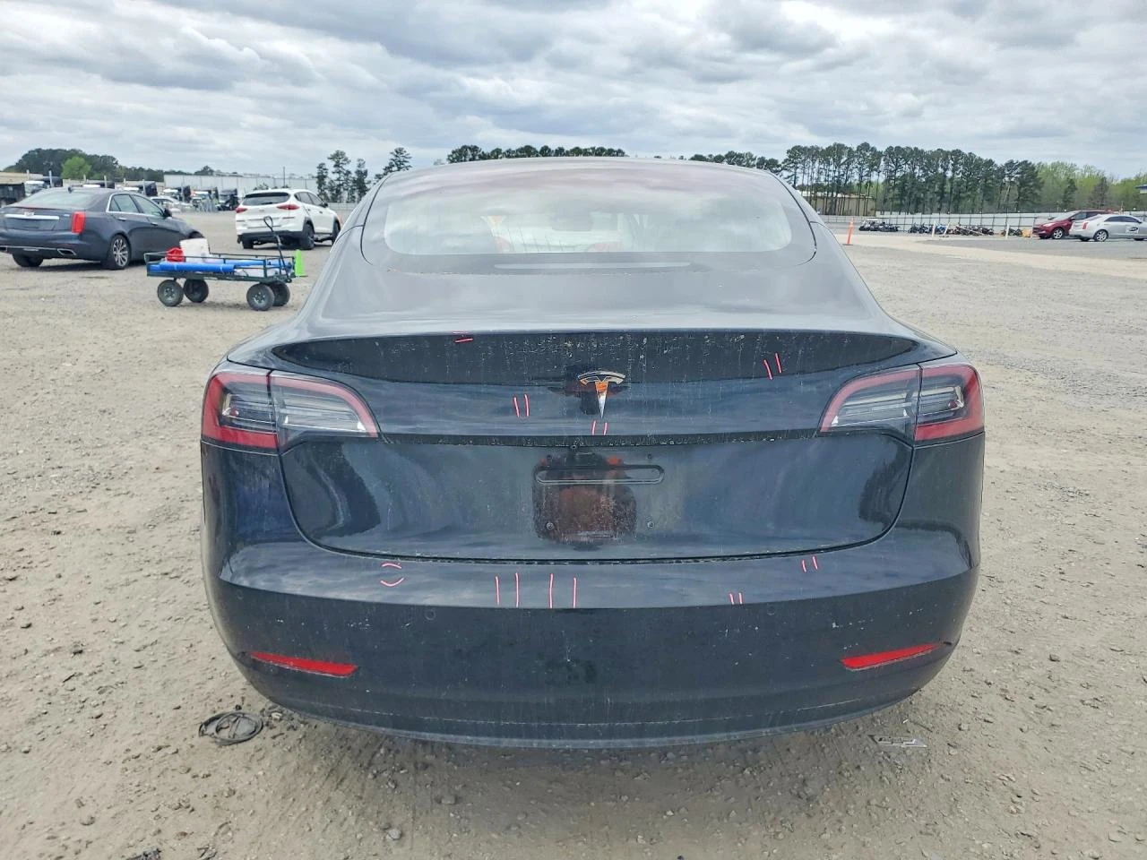 Tesla Model 3, снимка 6 - Автомобили и джипове - 54419058