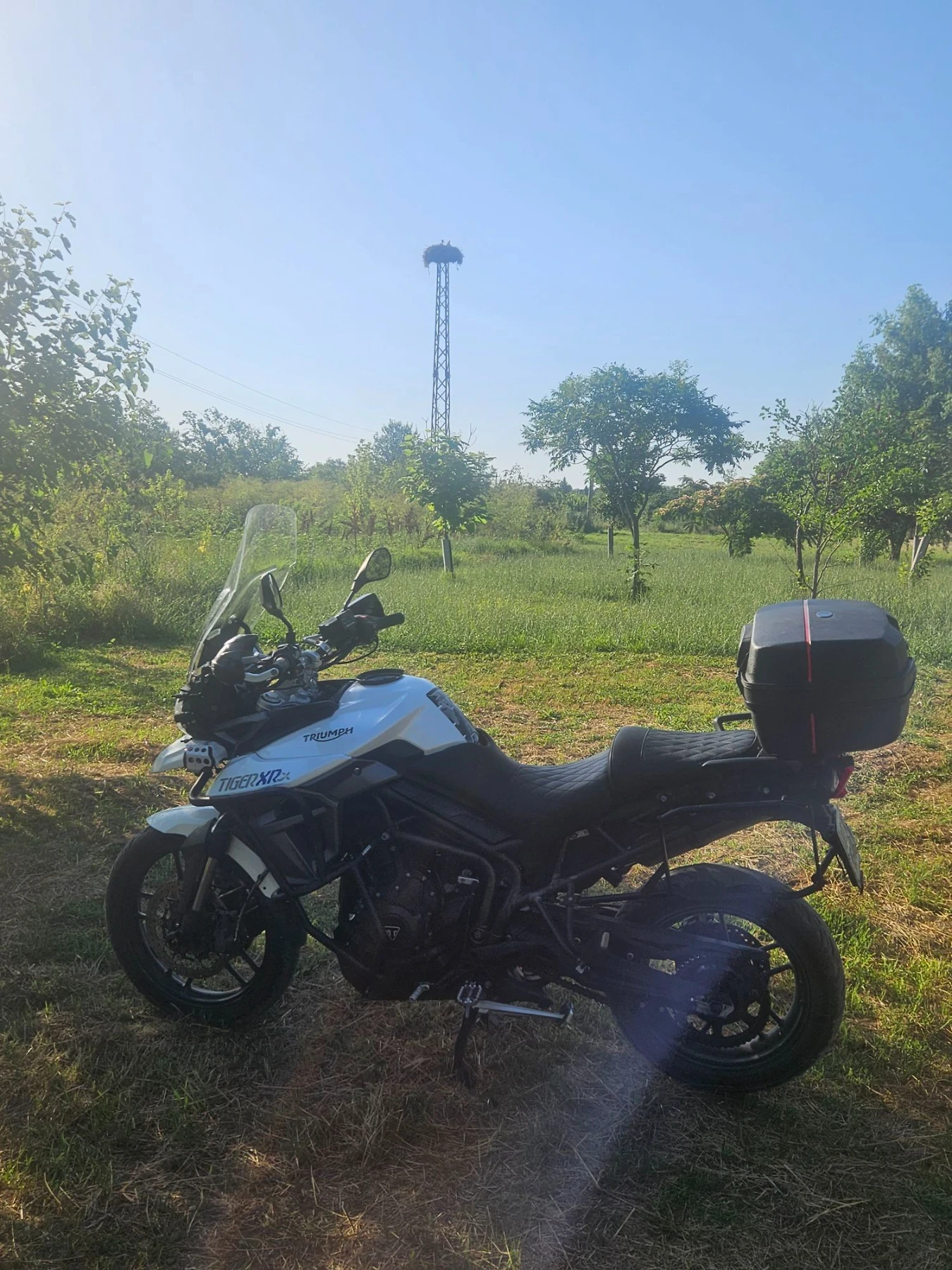 Triumph Tiger tiger xr x, снимка 5 - Мотоциклети и мототехника - 55655213