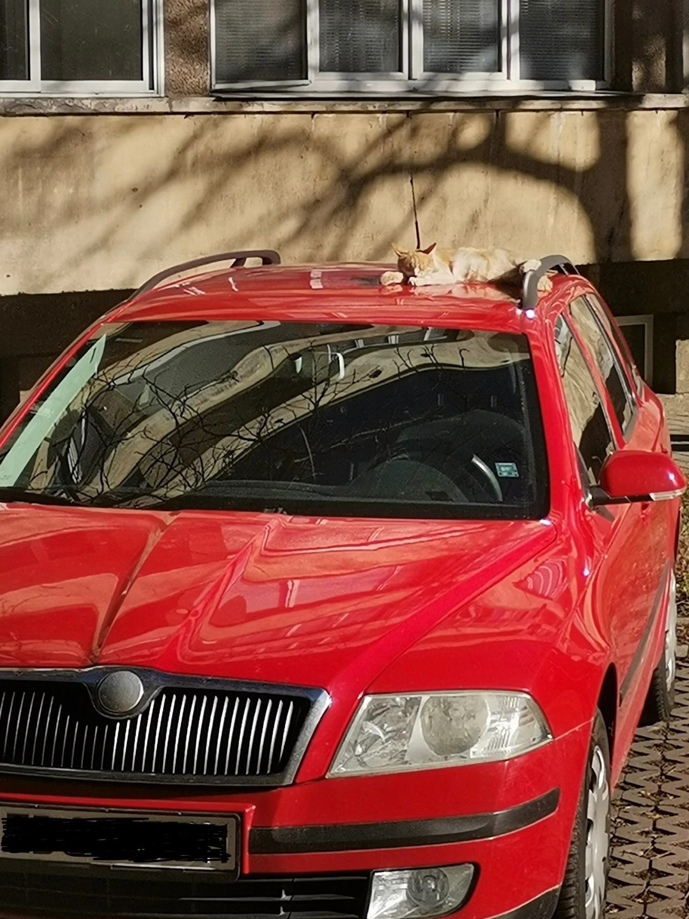 Skoda Octavia, снимка 1