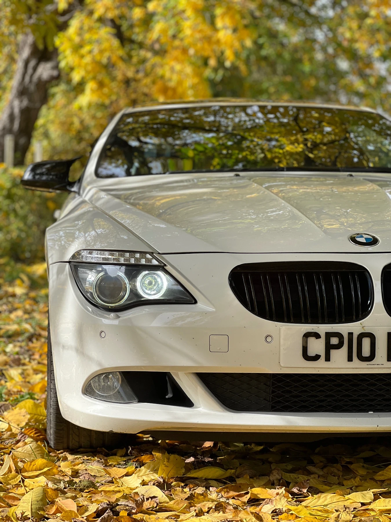 BMW 635