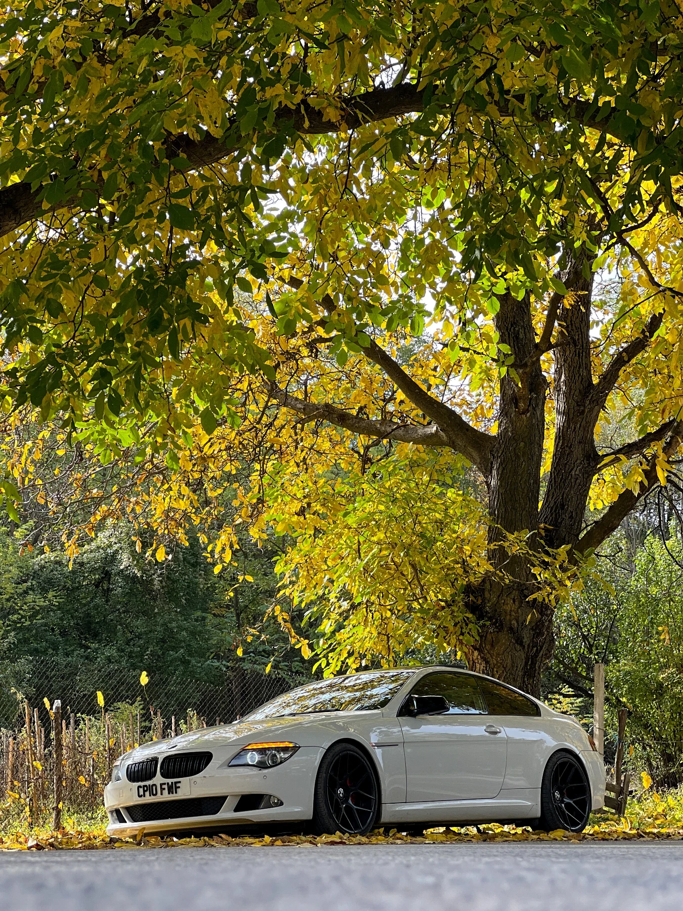 BMW 635, снимка 4 - Автомобили и джипове - 55646167