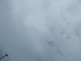 Tesla Model X 100D| АВТОПИЛОТ| 2 ЧИФТА ГУМИ С ДЖАНТИ| ПАНОРАМА|  - 17000 € / 33249.11 лв. - 16950211 13