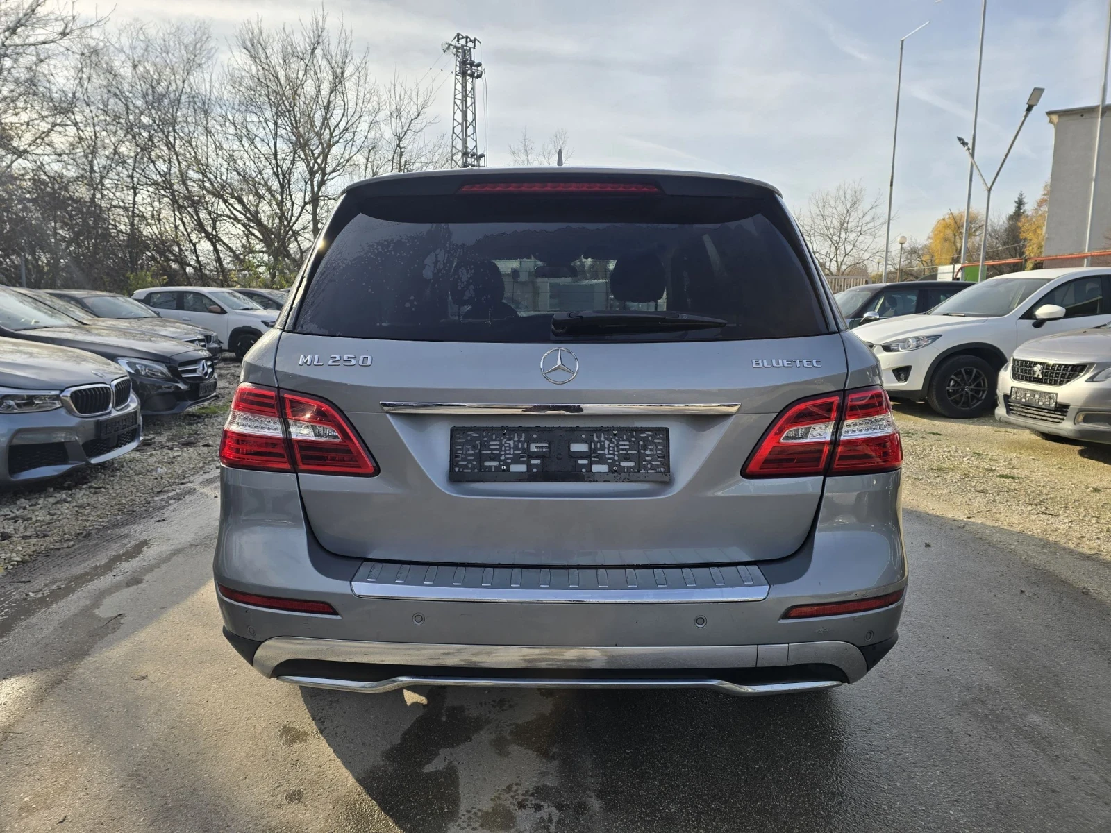 Mercedes-Benz ML 250 204к.с BLUETEC 4MATIC Проблем в мотора - изображение 6