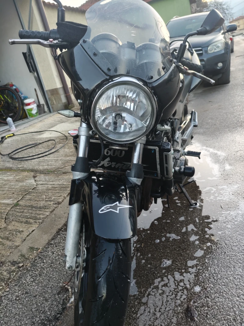 Honda Hornet, снимка 11 - Мотоциклети и мототехника - 53041738