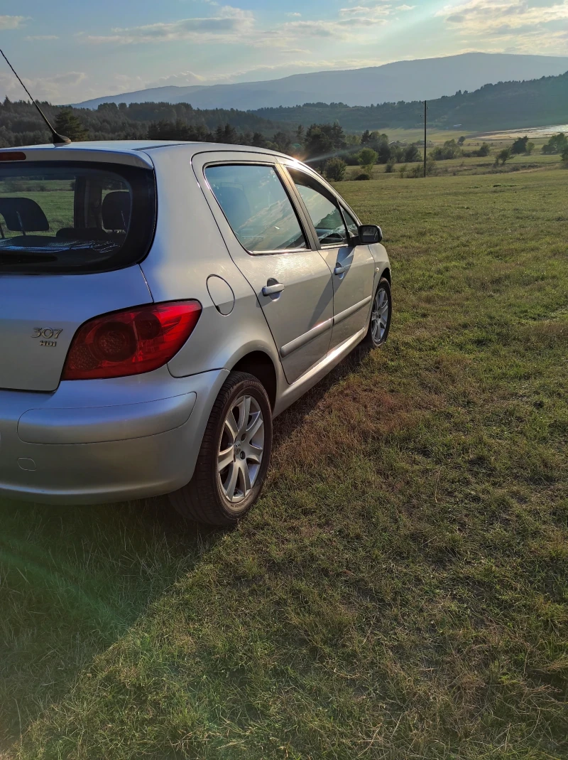 Peugeot 307 307, снимка 4 - Автомобили и джипове - 47522645