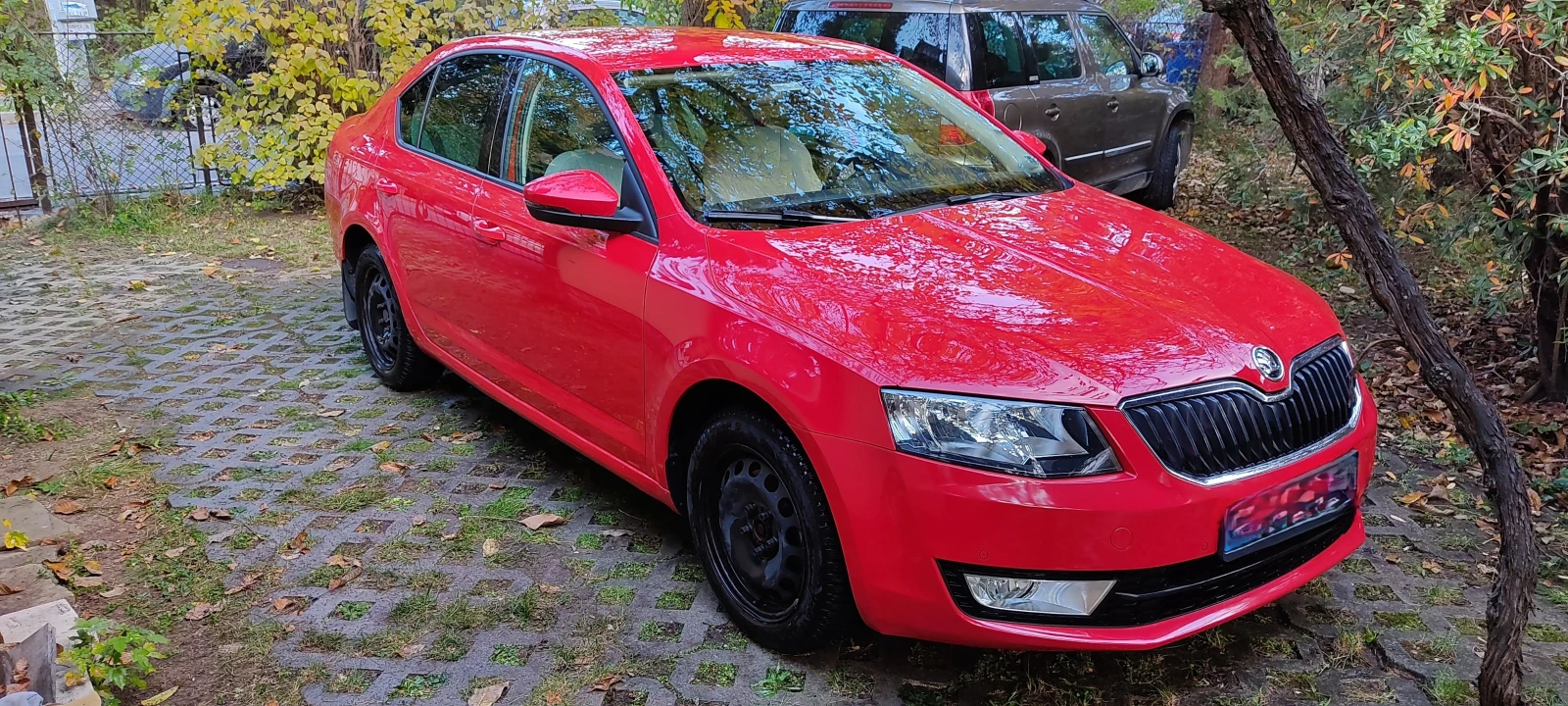 Skoda Octavia Style - изображение 8