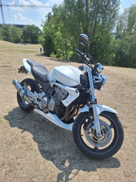     Honda Hornet