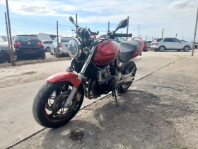     Honda Hornet 600cc 100   