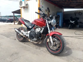     Honda Hornet 600cc 100   