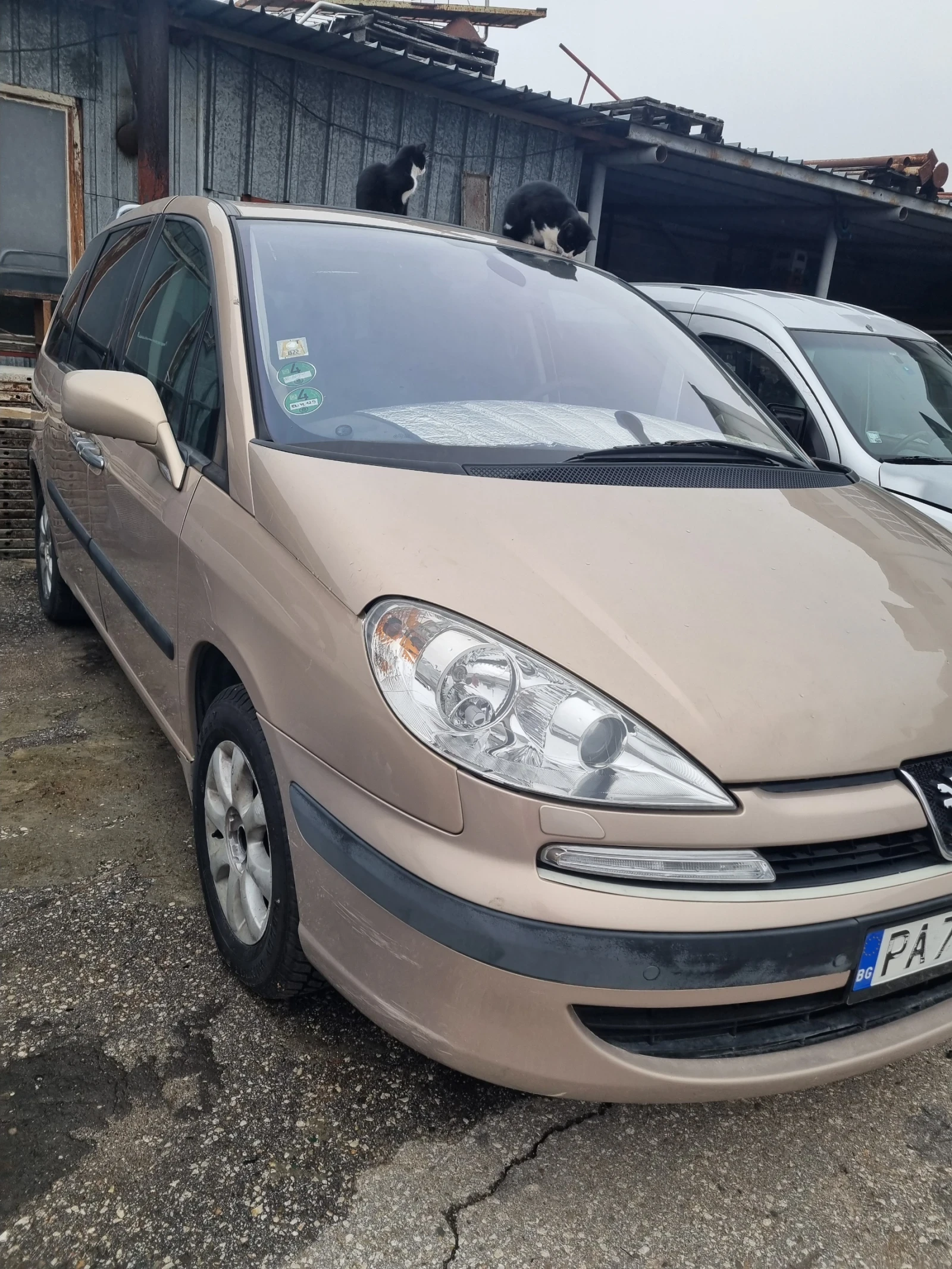 Peugeot 807 | Mobile.bg   2