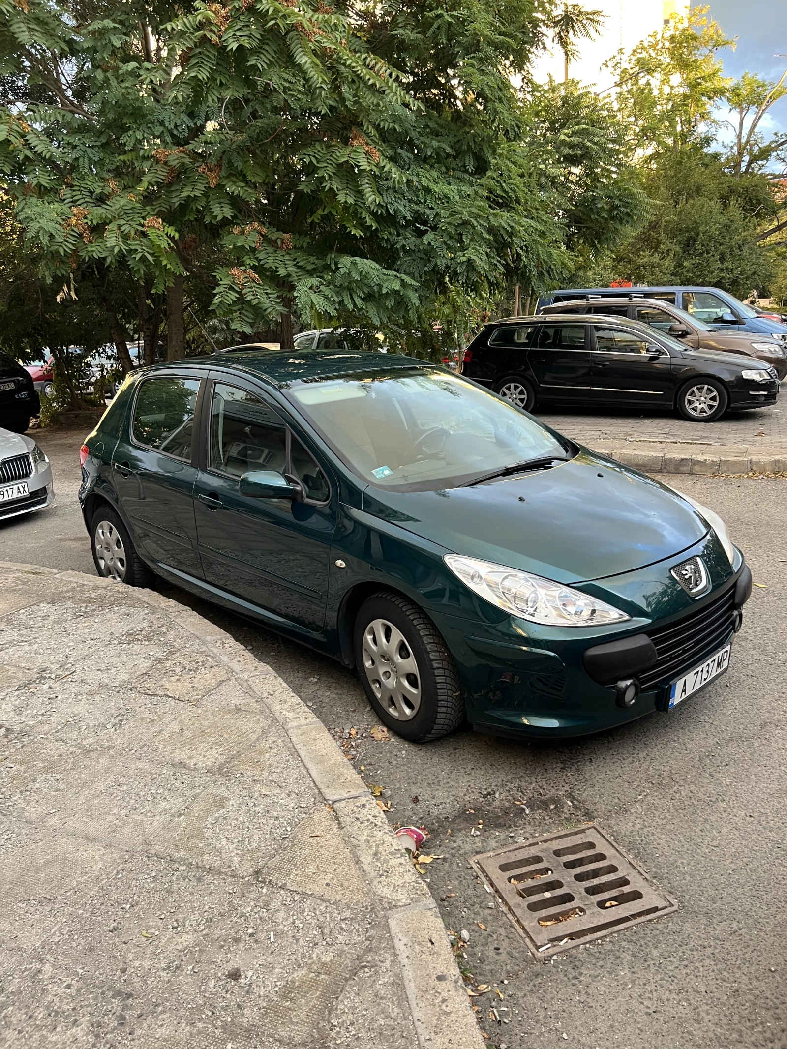 Peugeot 307  - изображение 9