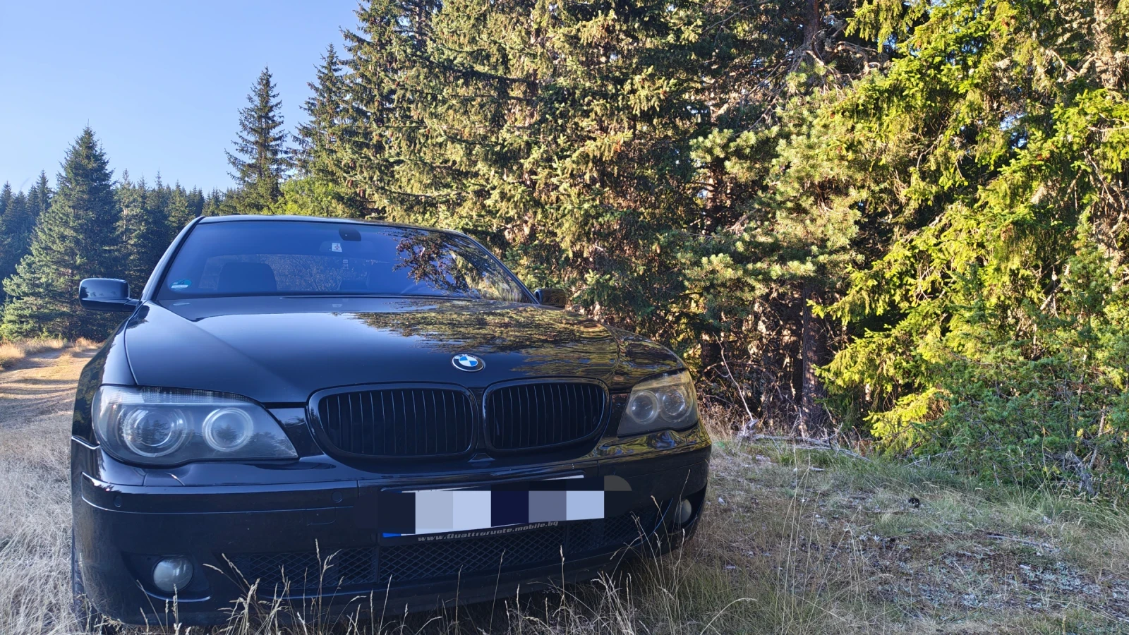 BMW 745, снимка 3 - Автомобили и джипове - 55853442