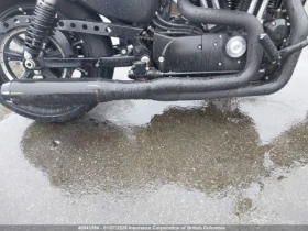 Harley-Davidson Sportster XL883 N | Mobile.bg � ����� ������ 14