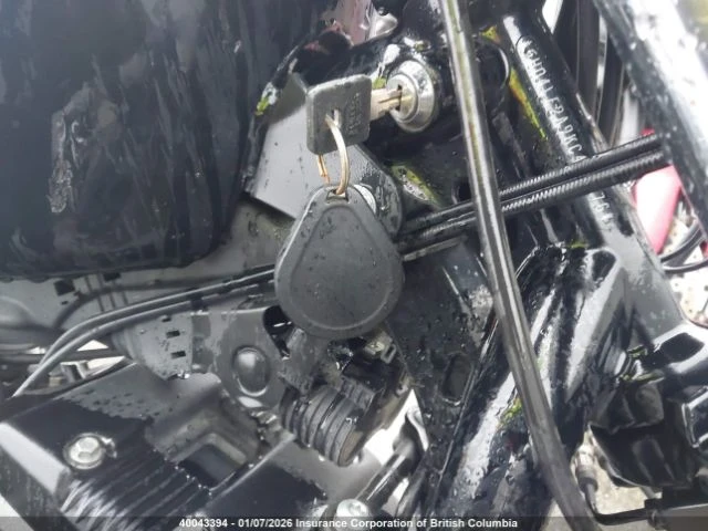 Harley-Davidson Sportster XL883 N | Mobile.bg � ����������� 12