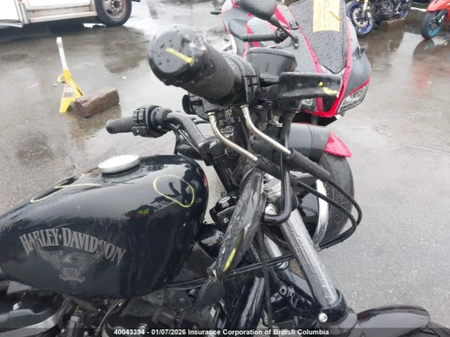 Harley-Davidson Sportster XL883 N | Mobile.bg � ����������� 15