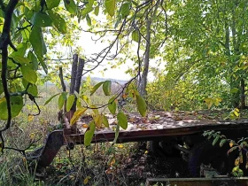 Трактор Steyr 8170A Горски трактор, снимка 7