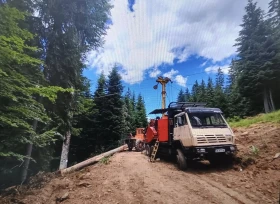 Специализирани машини Машини за дърводобив Щаер 