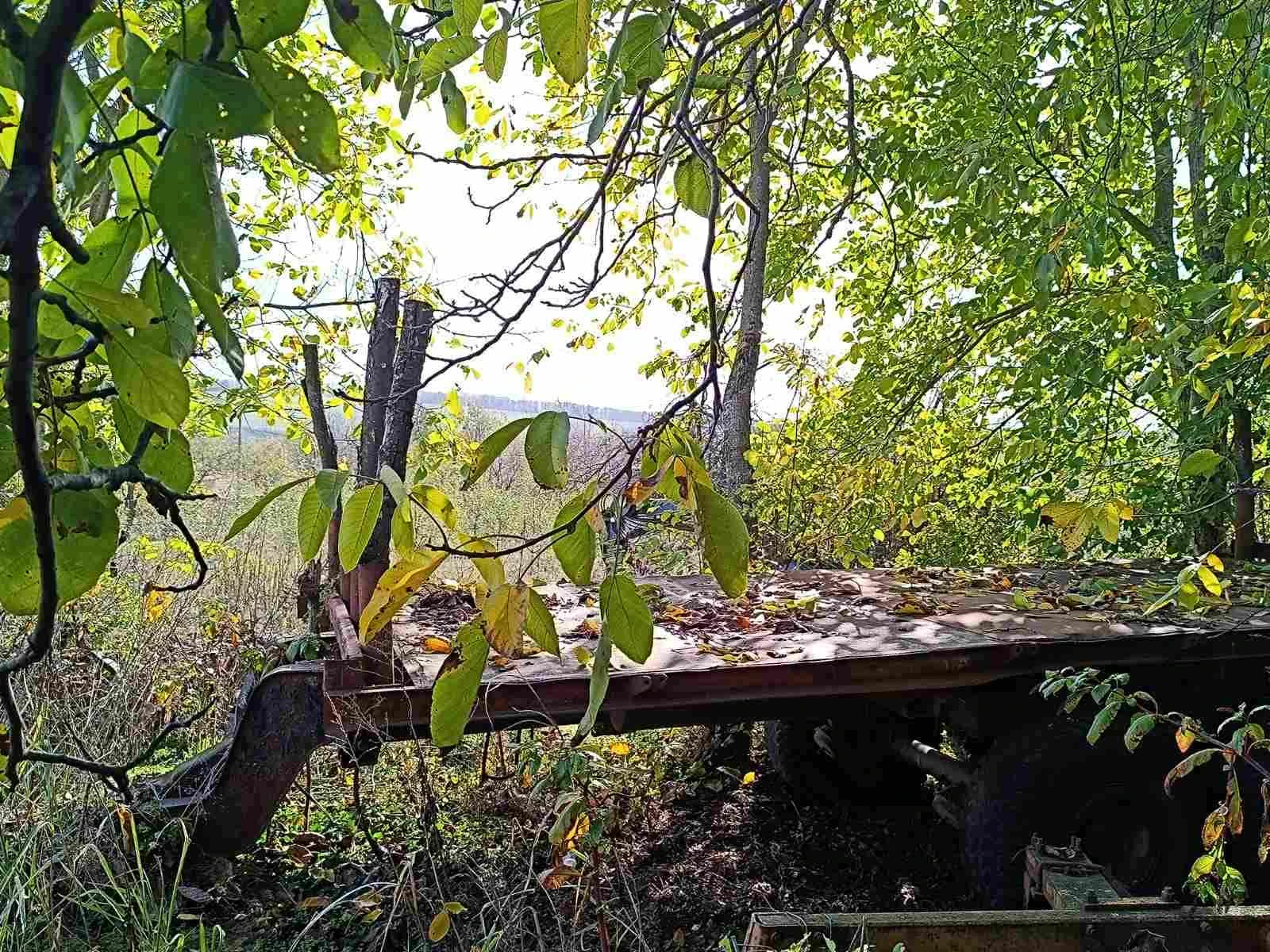  Steyr 8170A   | Mobile.bg   7